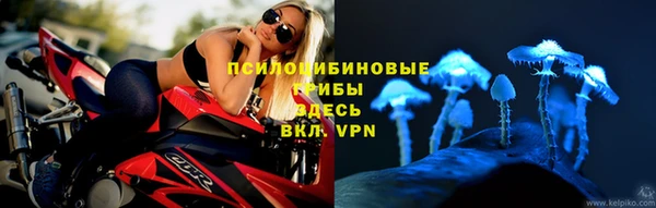 a pvp Алзамай
