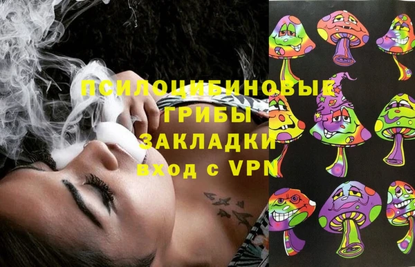 a pvp Алзамай
