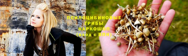 каннабис Алексин