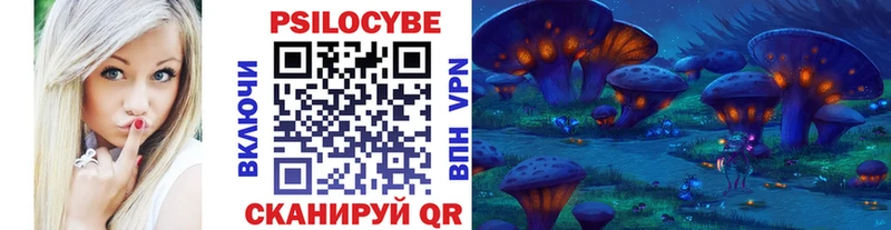 сколько стоит  Ужур  kraken зеркало  Псилоцибиновые грибы Cubensis 